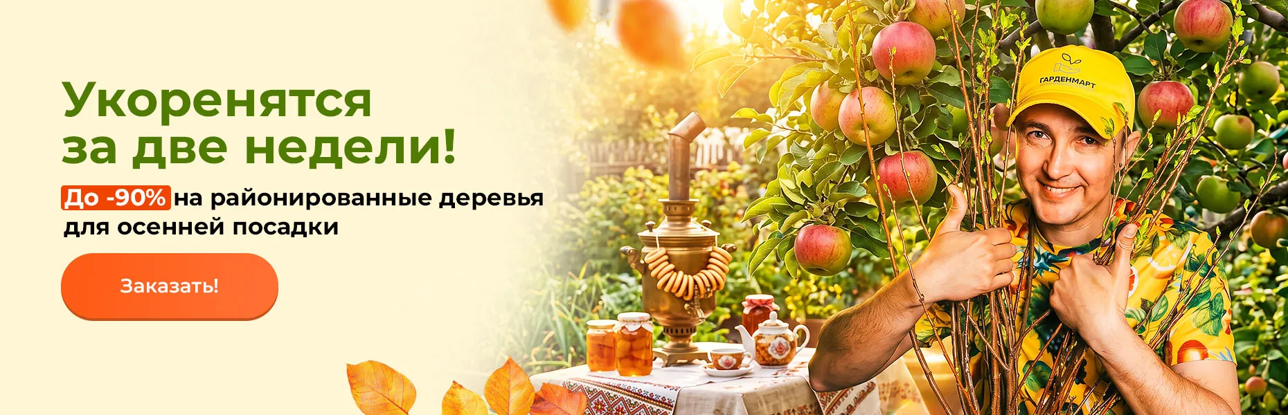 Укоренятся за две недели! До -90% на районированные деревья для осенней посадки