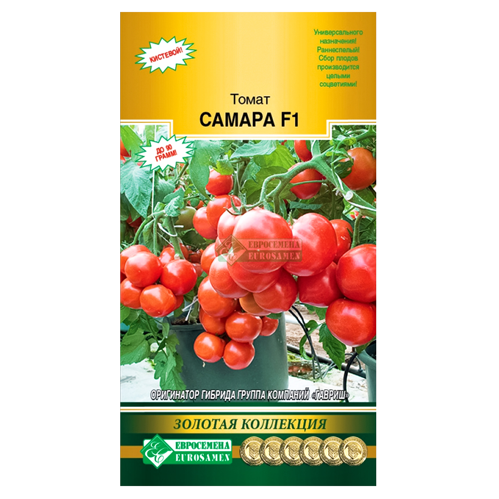 Томат Самара F1 Евросемена № 1