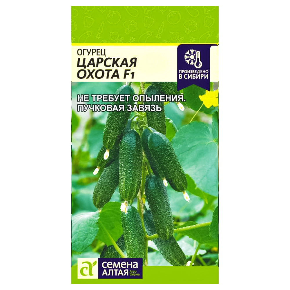 Огурец Царская охота F1 Семена Алтая № 1