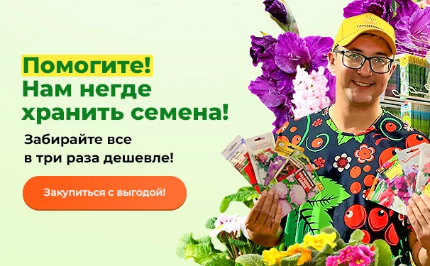 Помогите! Нам негде хранить семена! Забирайте все в три раза дешевле!