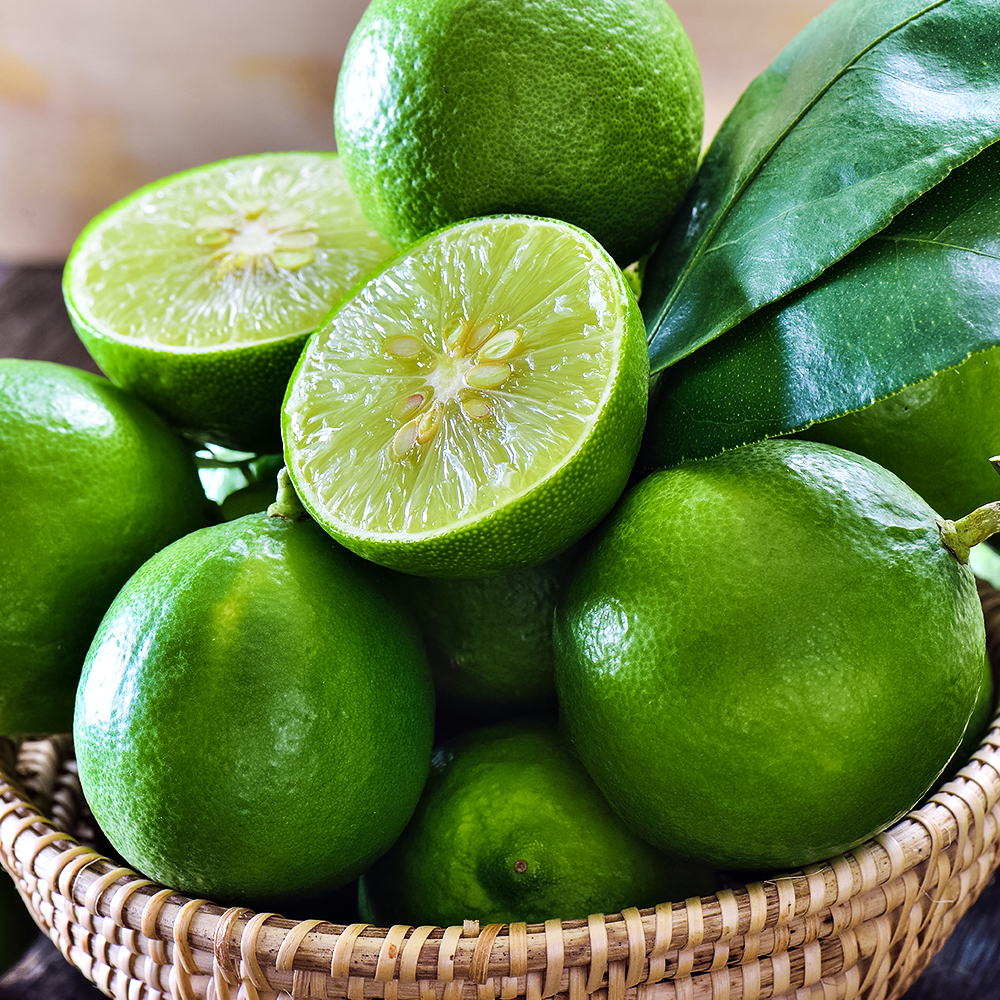 Лайм комнатный неприхотливый Мексиканский № 1