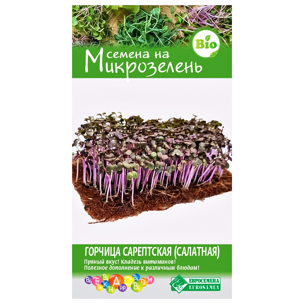 Микрозелень Горчица сарептская (салатная) Евросемена № 1