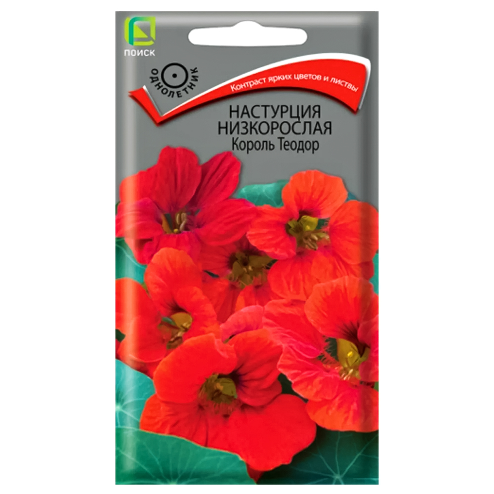 Настурция низкорослая Король Теодор Поиск № 1