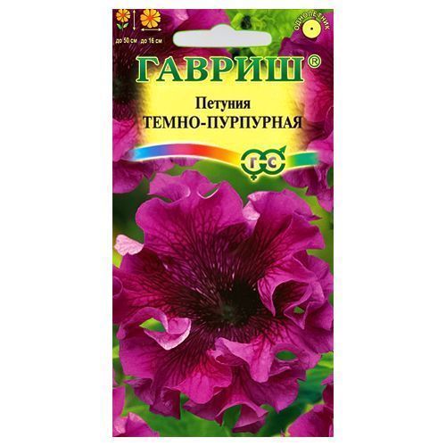 Петуния бахромчатая Темно-пурпурная Гавриш № 1