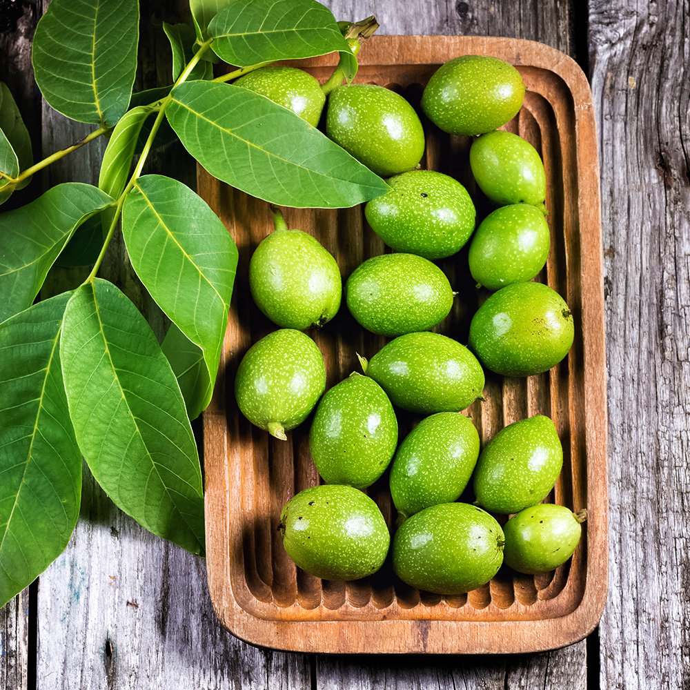 Фейхоа самоплодный Крымский ранний