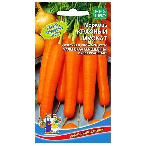 Морковь Красный мускат Уральский дачник № 1