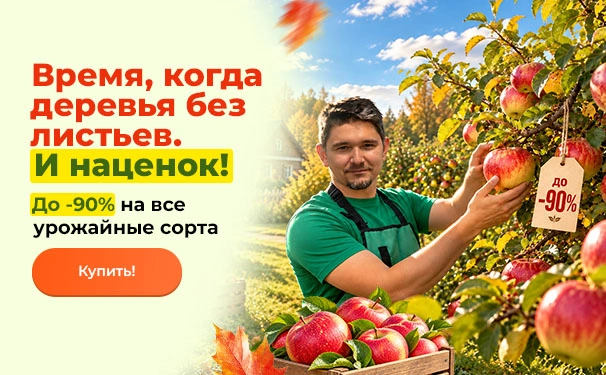 Время, когда деревья без листьев. И наценок! До -90% на все урожайные сорта