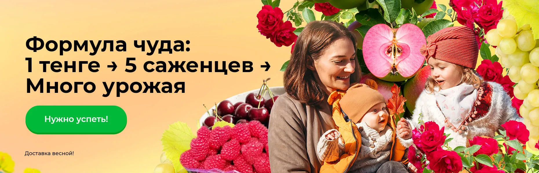 Формула чуда: 1 тенге → 5 саженцев → Много урожая! Доставка весной!