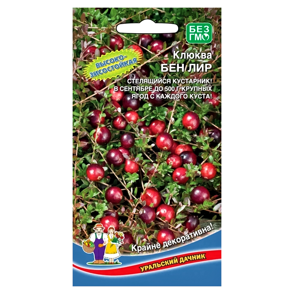 Клюква Бен Лир Уральский дачник № 1