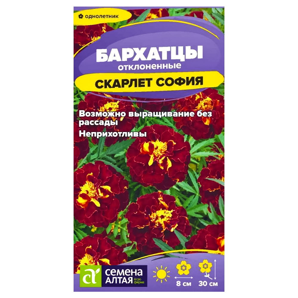 Бархатцы махровые Скарлет София Семена Алтая № 1