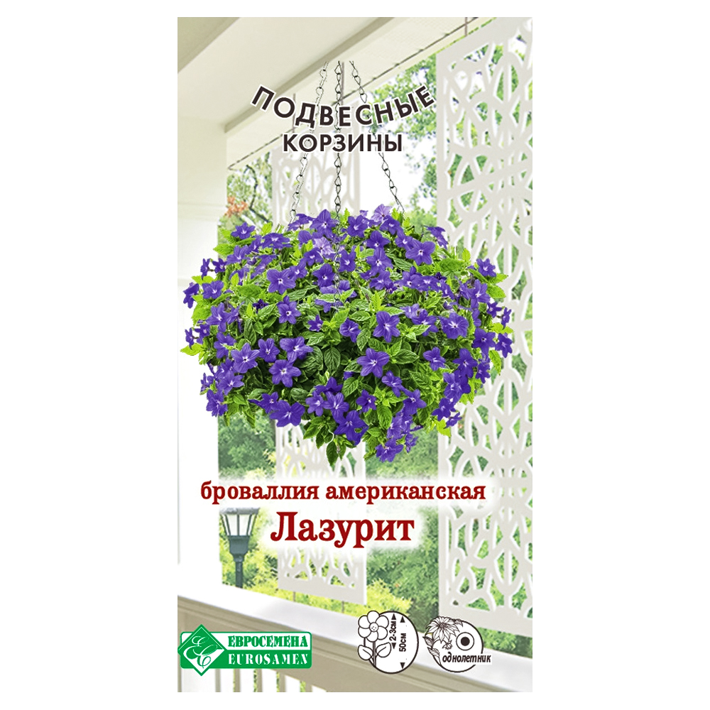 Броваллия американская Лазурит Евросемена № 1