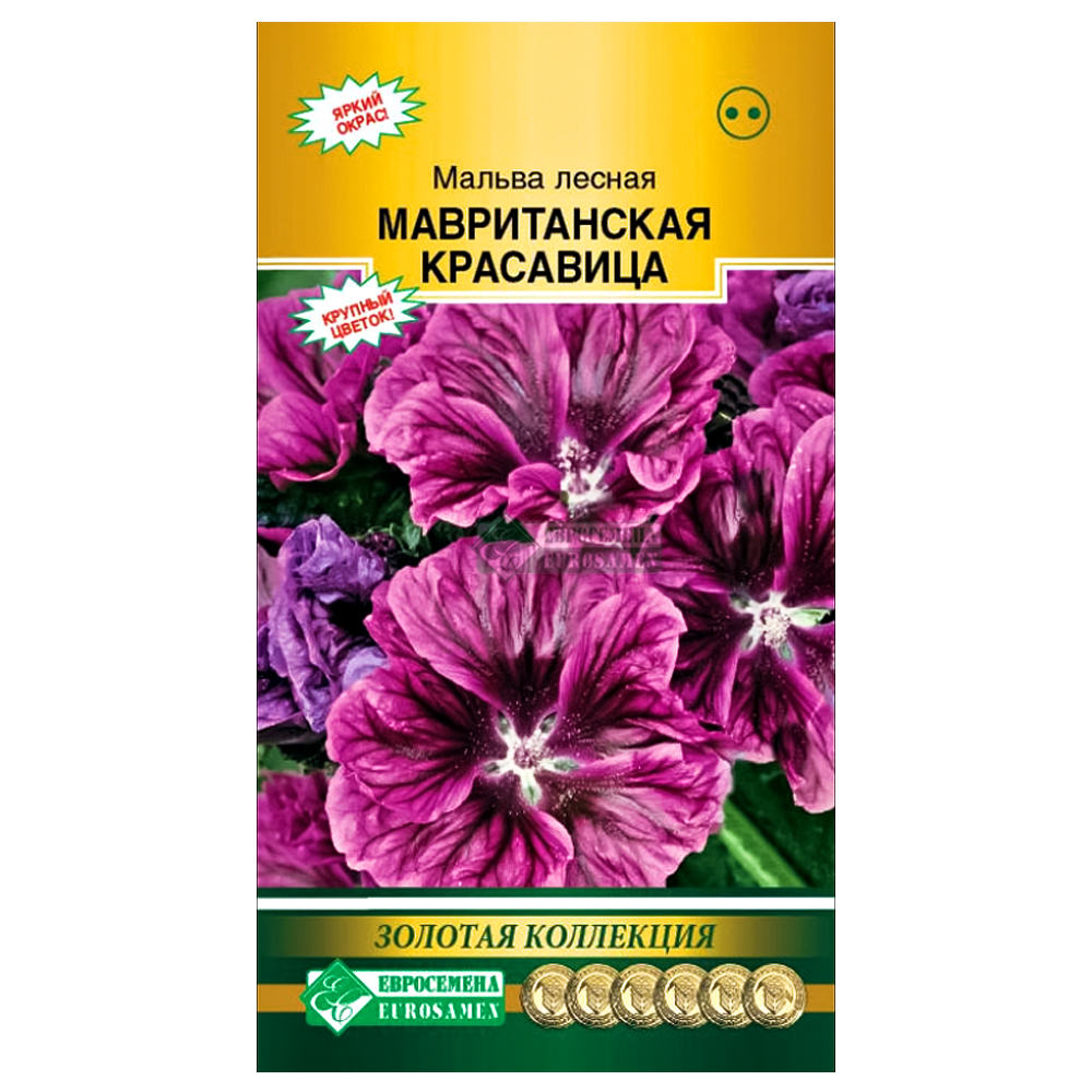 Мальва (шток-роза) Мавританская красавица Евросемена № 1