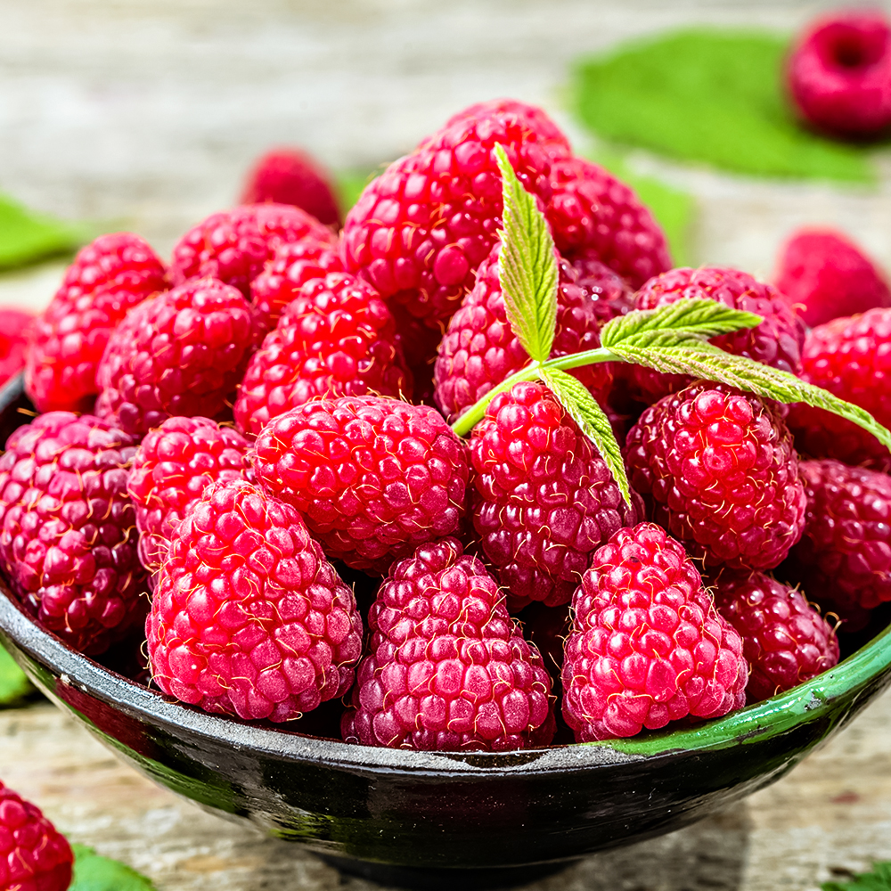 Малина штамбовая ремонтантная Сказочный конь № 1