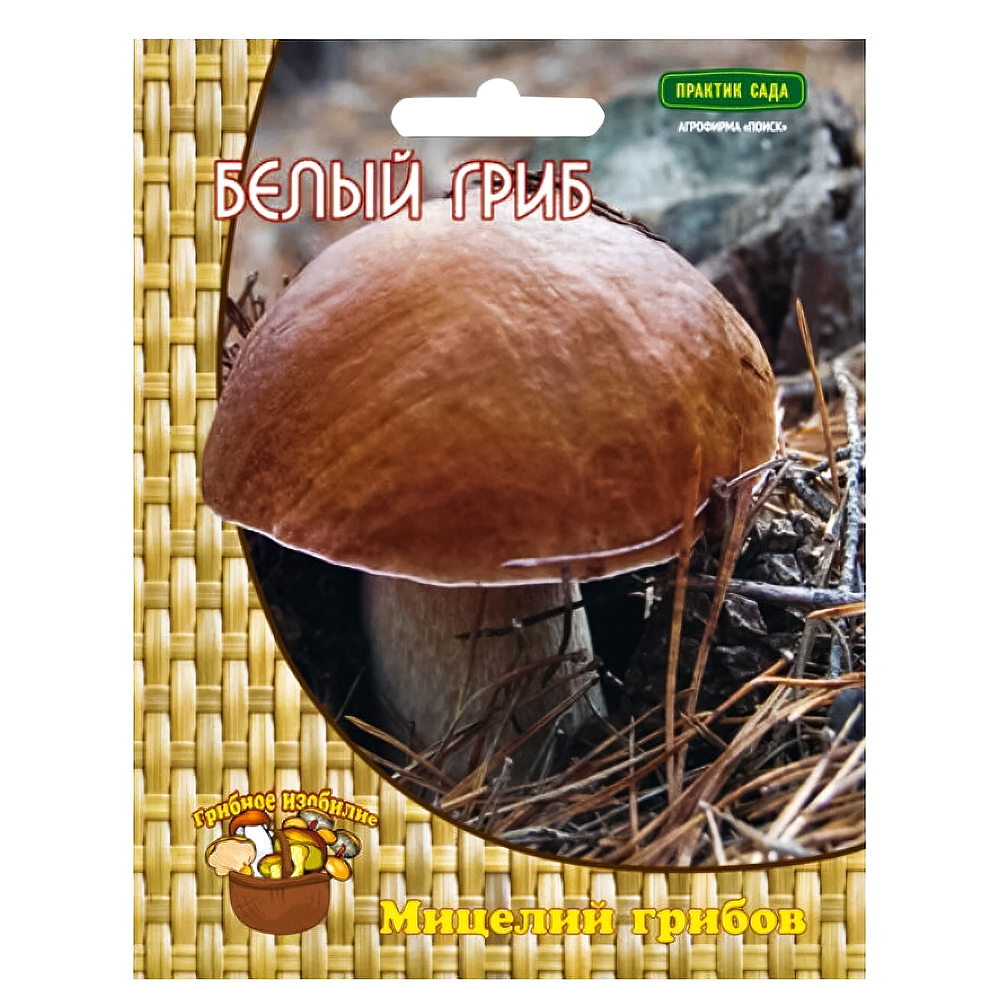 Белый гриб Поиск № 1