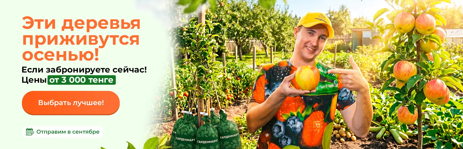 Эти деревья приживутся осенью! Если забронируете сейчас! Цены от 3000 тенге Отправим в сентябре
