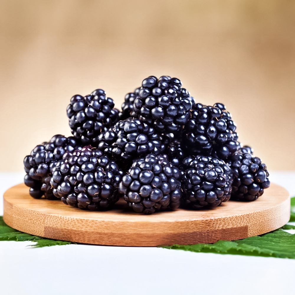 Ежевика суперурожайная Чачанска Бестрна № 1