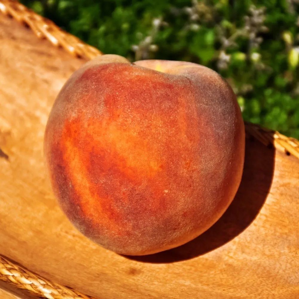 Персик Канадиан Хармони