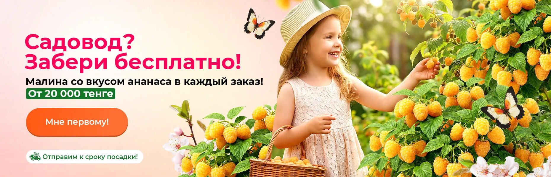 Садовод? Забери бесплатно! Малина со вкусом ананаса в каждый заказ! От 20 000 тенге. Отправим к сроку посадки!