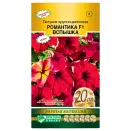 Петуния крупноцветковая Романтика Вспышка F1 Евросемена № 1