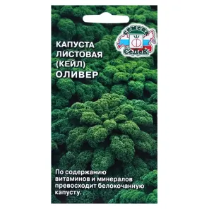 Капуста листовая Оливер Седек