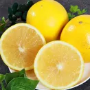 Грейпфрут комнатный без косточек Марш № 1