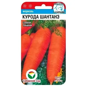 Морковь Курода Шантанэ Сибирский сад
