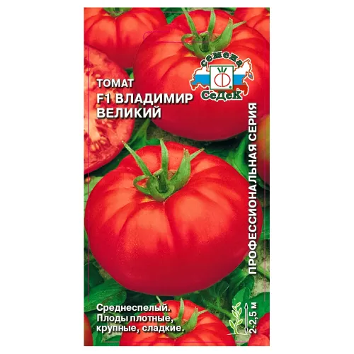 Томат Владимир Великий F1 Седек
