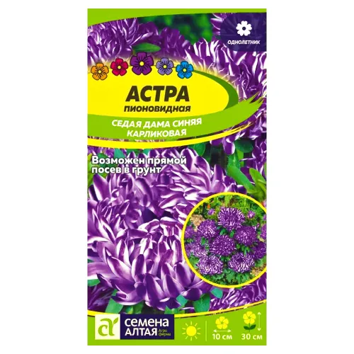Астра пионовидная карликовая Седая дама синяя Семена Алтая