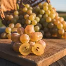 Виноград для игристого Фронтиньяк Блан № 1