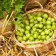 Крыжовник для сложного климата Белорусский сахарный