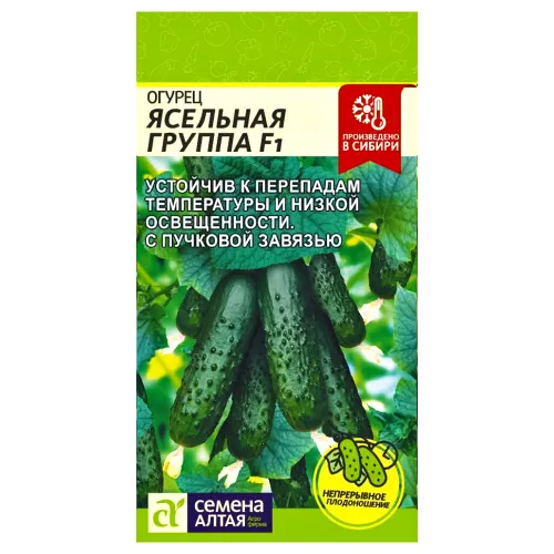 Огурец Ясельная группа F1 Семена Алтая