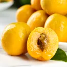 Абрикос болезнеустойчивый Челябинский ранний № 1