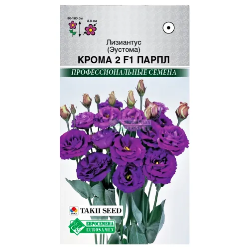 Лизиантус (эустома) 2 Крома Парпл F1 Евросемена