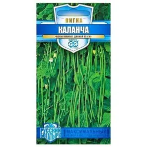 Вигна Каланча Гавриш