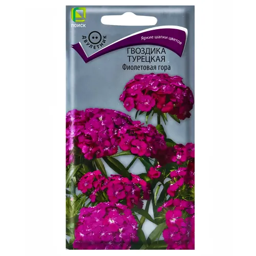 Гвоздика турецкая Фиолетовая гора Поиск
