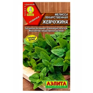 Мелисса лекарственная Жемчужина Аэлита