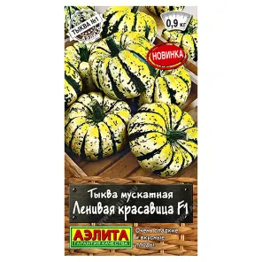 Тыква мускатная Ленивая красавица F1 Аэлита