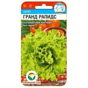 Салат Гранд Рапидс Сибирский сад