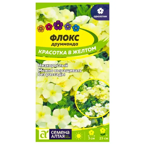 Флокс Друммонда Красотка в желтом Семена Алтая