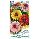 Хризантема Дунетти, смесь окрасок Гавриш № 1