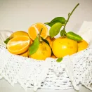 Лимон комнатный (гибрид с апельсином) Мейера № 1