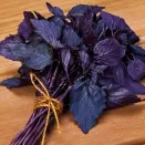 Базилик фиолетовый Аметист Уральский дачник № 2