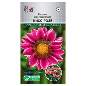 Гацания Кисс Розе Евросемена