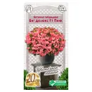 Бегония гибридная Биг Делюкс Пинк F1 Евросемена № 1