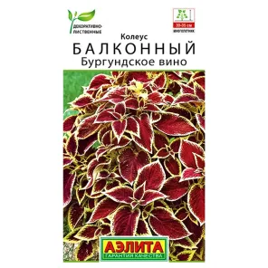 Колеус балконный Бургундское вино Аэлита