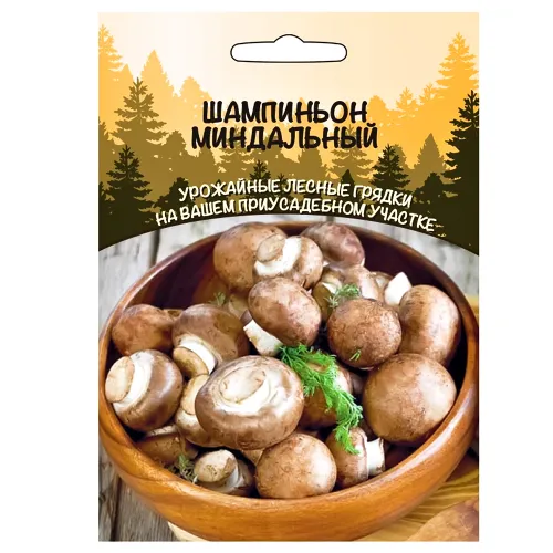 Шампиньон миндальный Уральский дачник