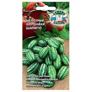 Мелотрия Шапито Седек