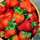 Земляника ремонтантная (крупноплодная) урожайная Брина, 5 саж. № 1