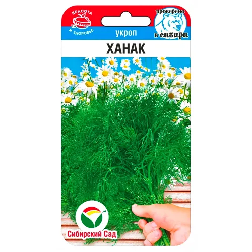 Укроп Ханак Сибирский сад