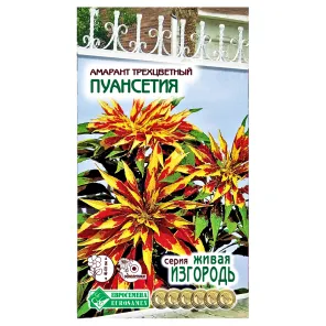 Амарант Пуансетия Евросемена